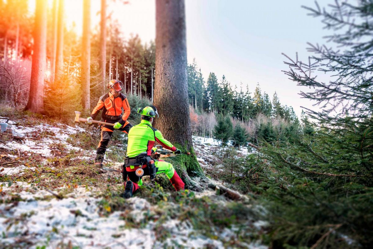 森林作業の安全②　森林防護服　−　安全性と快適性の両立